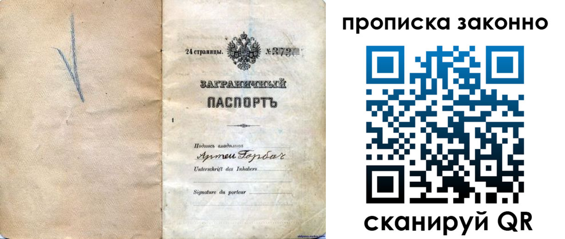 прописка 2025 в Светогорске